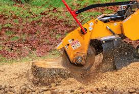 Best Hazardous Tree Removal  in Rancho Cordova, CA
